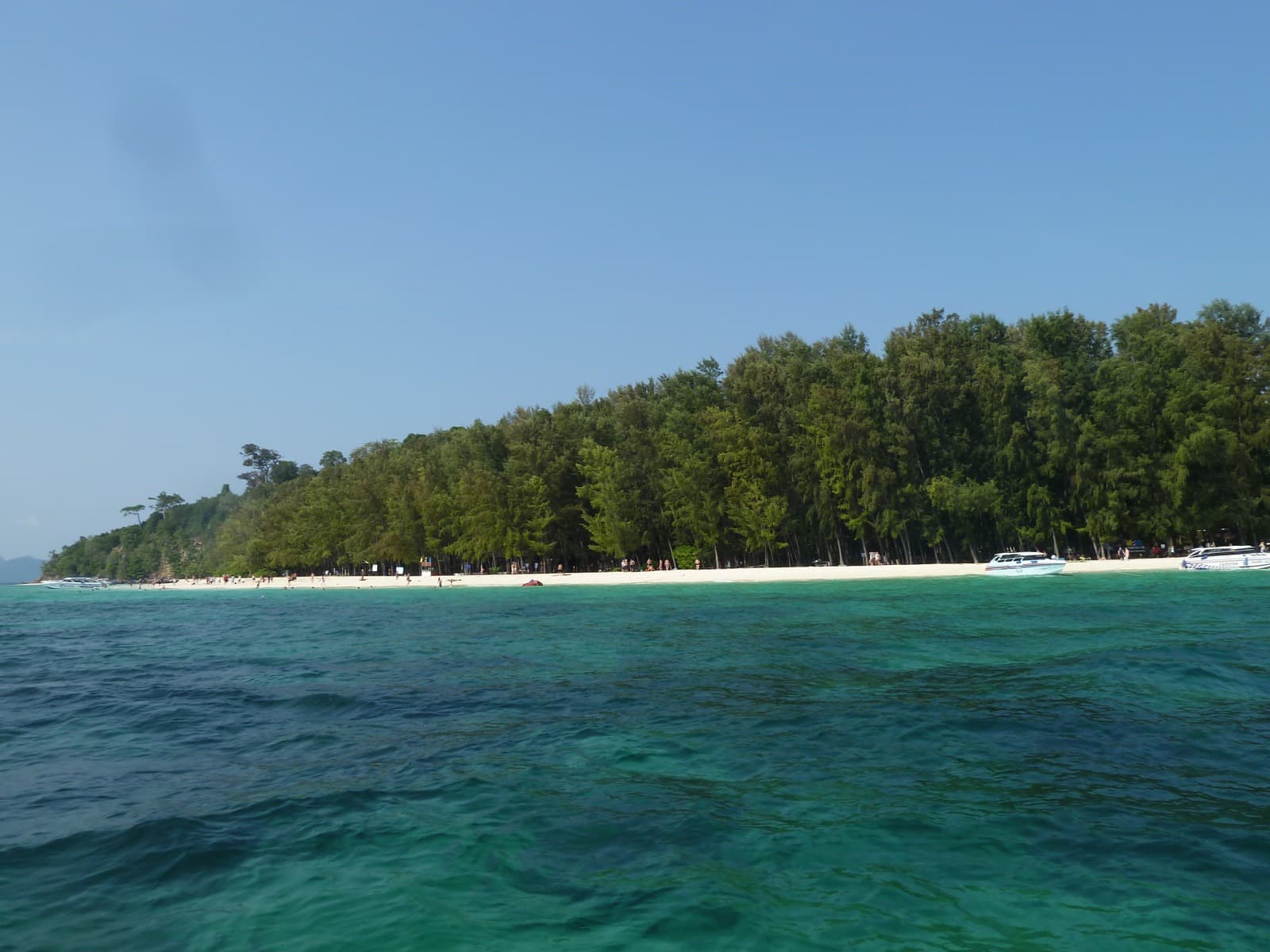 Bamboo Island